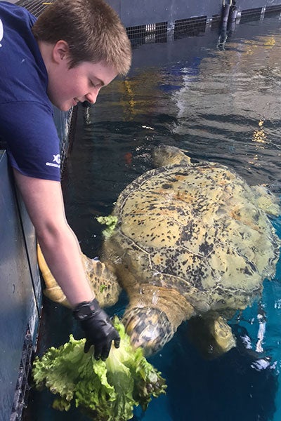 Peyton Jackson feeding a sea turtle